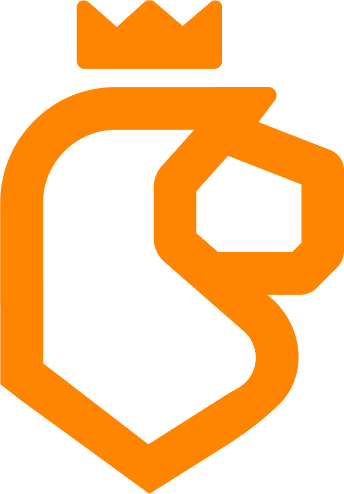 https://plinkonl.nl/